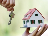 山东青岛适度调整优化房地产政策，促进房地产市场平稳健康发展